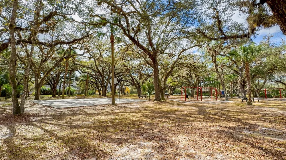 14445 CHINESE ELM DRIVE Orlando, FL 32828