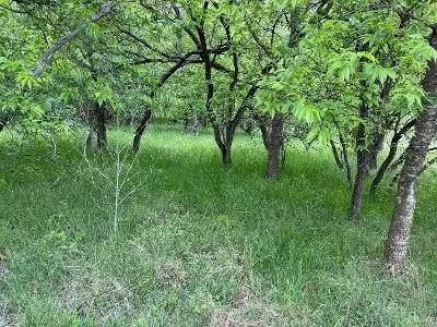 1980 Fm 933 Aquilla, TX 76622
