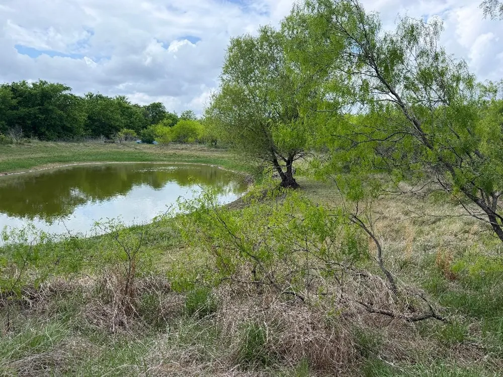 1980 Fm 933 Aquilla, TX 76622