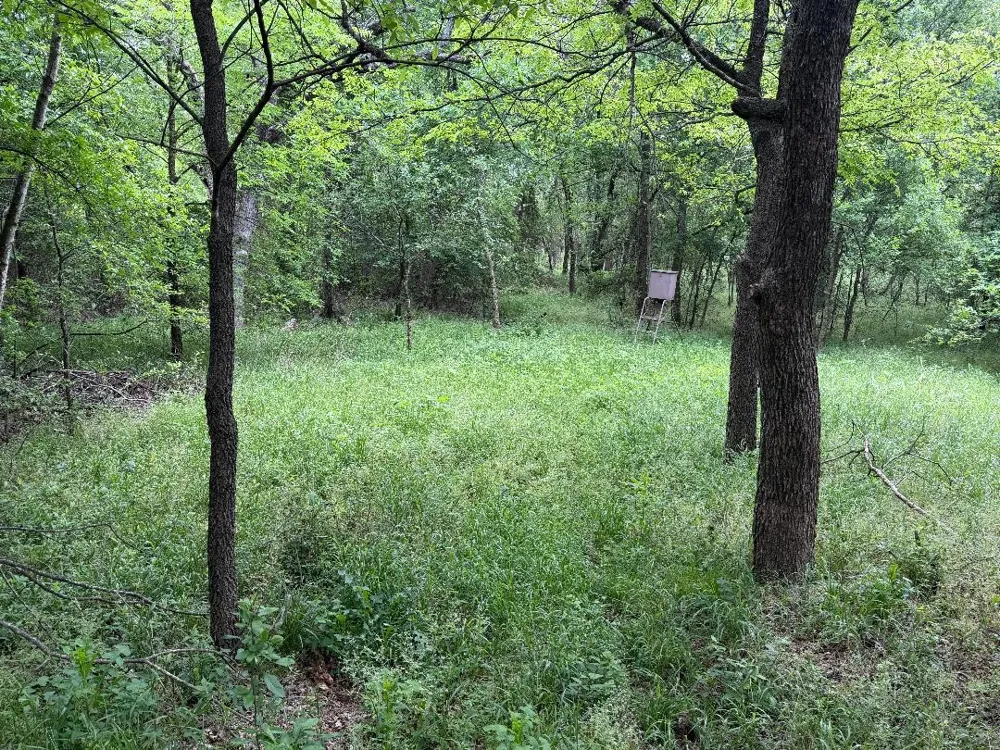 1980 Fm 933 Aquilla, TX 76622