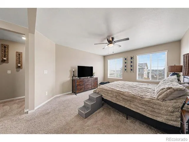 6851 Whisper Trail Lane Wellington, CO 80549
