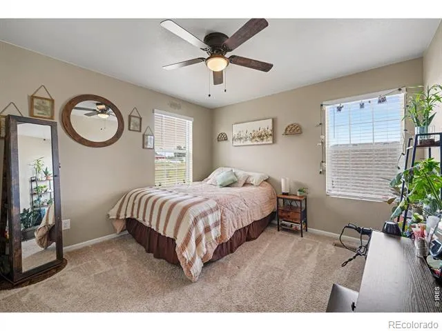 6851 Whisper Trail Lane Wellington, CO 80549
