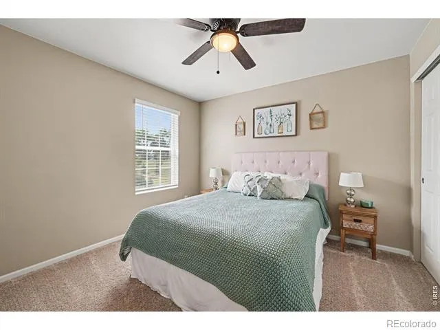 6851 Whisper Trail Lane Wellington, CO 80549