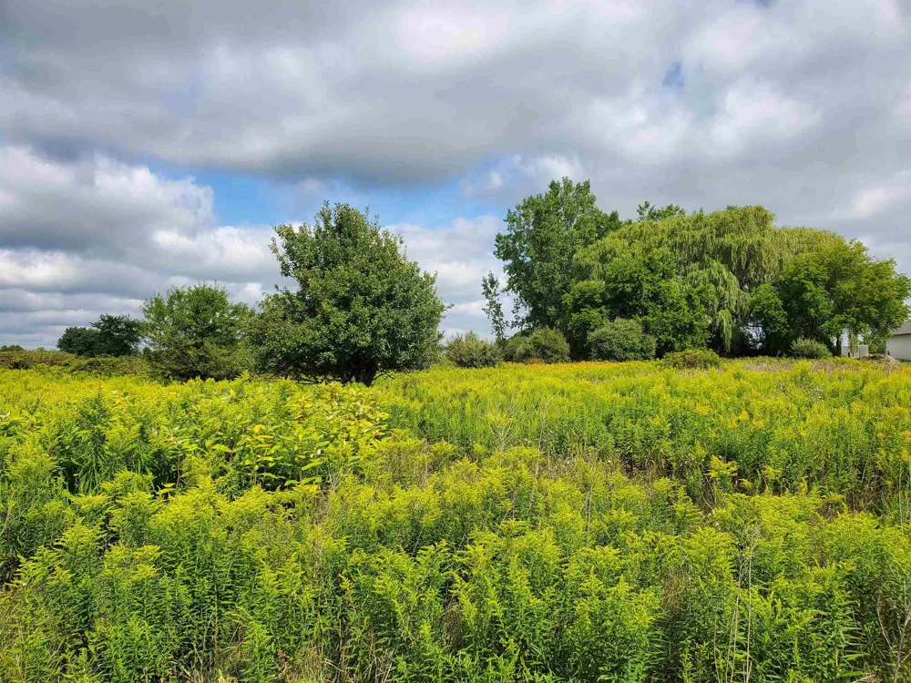 287 E Harrington Road Croswell City, MI 48422