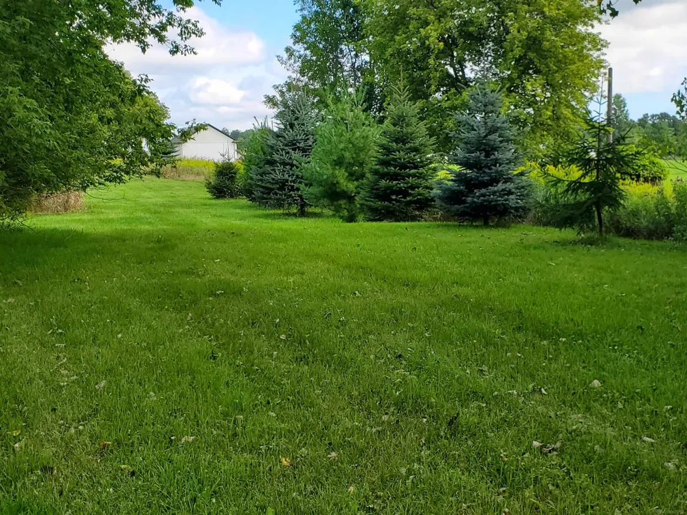 287 E Harrington Road Croswell City, MI 48422