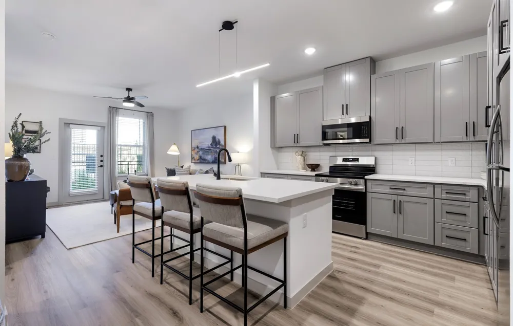 2400 Ace Lane #1125 Lewisville, TX 75067