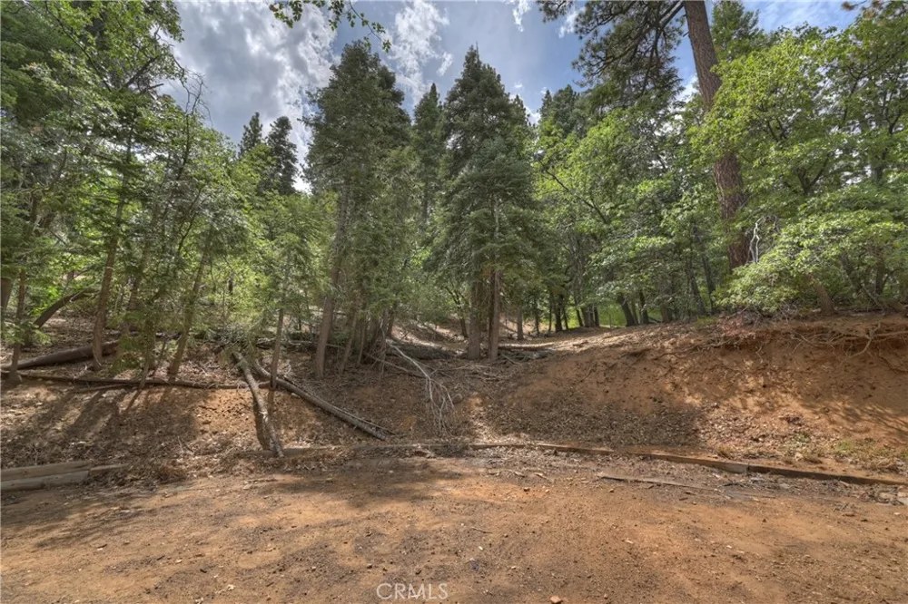 897 Ford Big Bear Lake, CA 92315