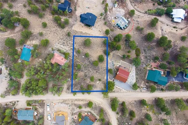 198 Parry Peak Drive Twin Lakes, CO 81251