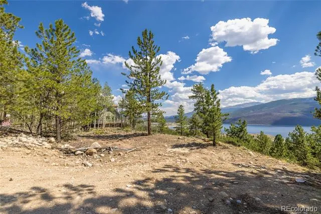 198 Parry Peak Drive Twin Lakes, CO 81251