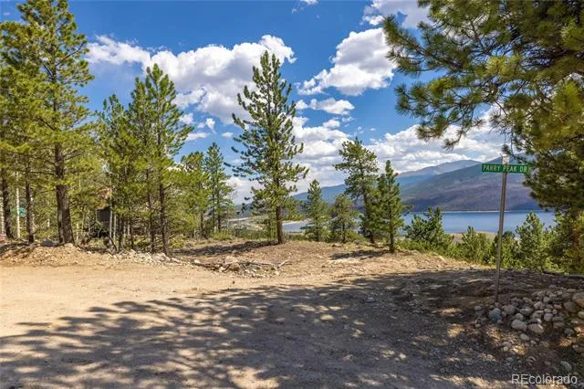 198 Parry Peak Drive Twin Lakes, CO 81251