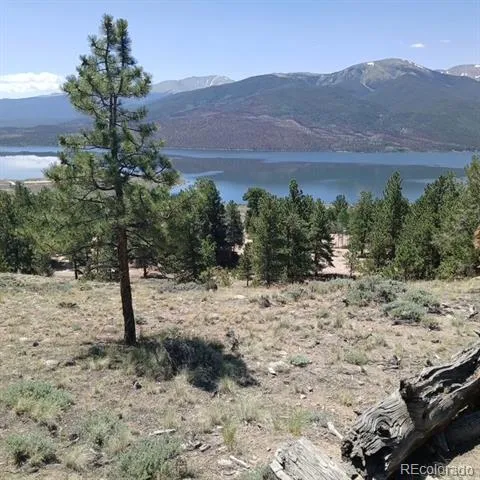 198 Parry Peak Drive Twin Lakes, CO 81251