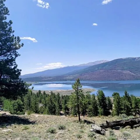 198 Parry Peak Drive Twin Lakes, CO 81251