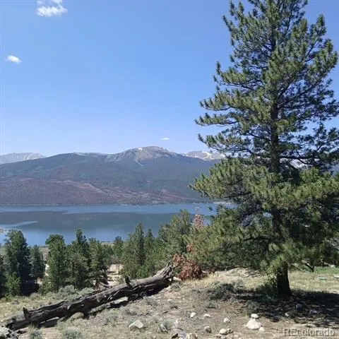 198 Parry Peak Drive Twin Lakes, CO 81251