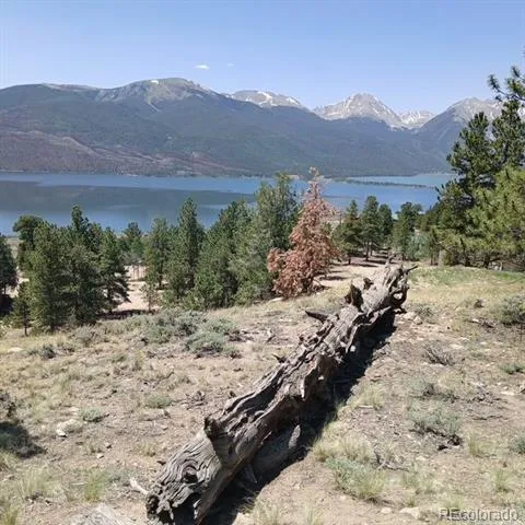 198 Parry Peak Drive Twin Lakes, CO 81251