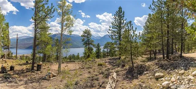 198 Parry Peak Drive Twin Lakes, CO 81251