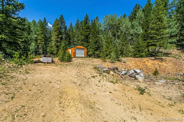 665 Lower Travis Gulch Road Black Hawk, CO 80422