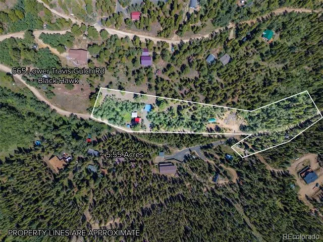 665 Lower Travis Gulch Road Black Hawk, CO 80422