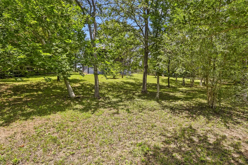 31 Timber Cove Lane Coldspring, TX 77331