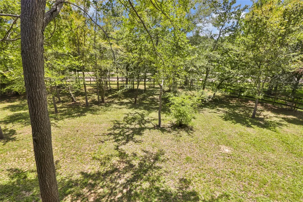 31 Timber Cove Lane Coldspring, TX 77331