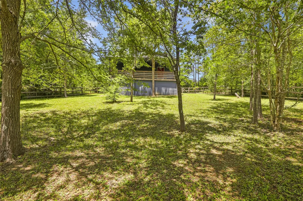 31 Timber Cove Lane Coldspring, TX 77331