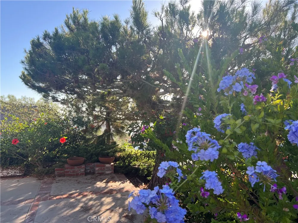 6802 Kings Harbor Rancho Palos Verdes, CA 90275