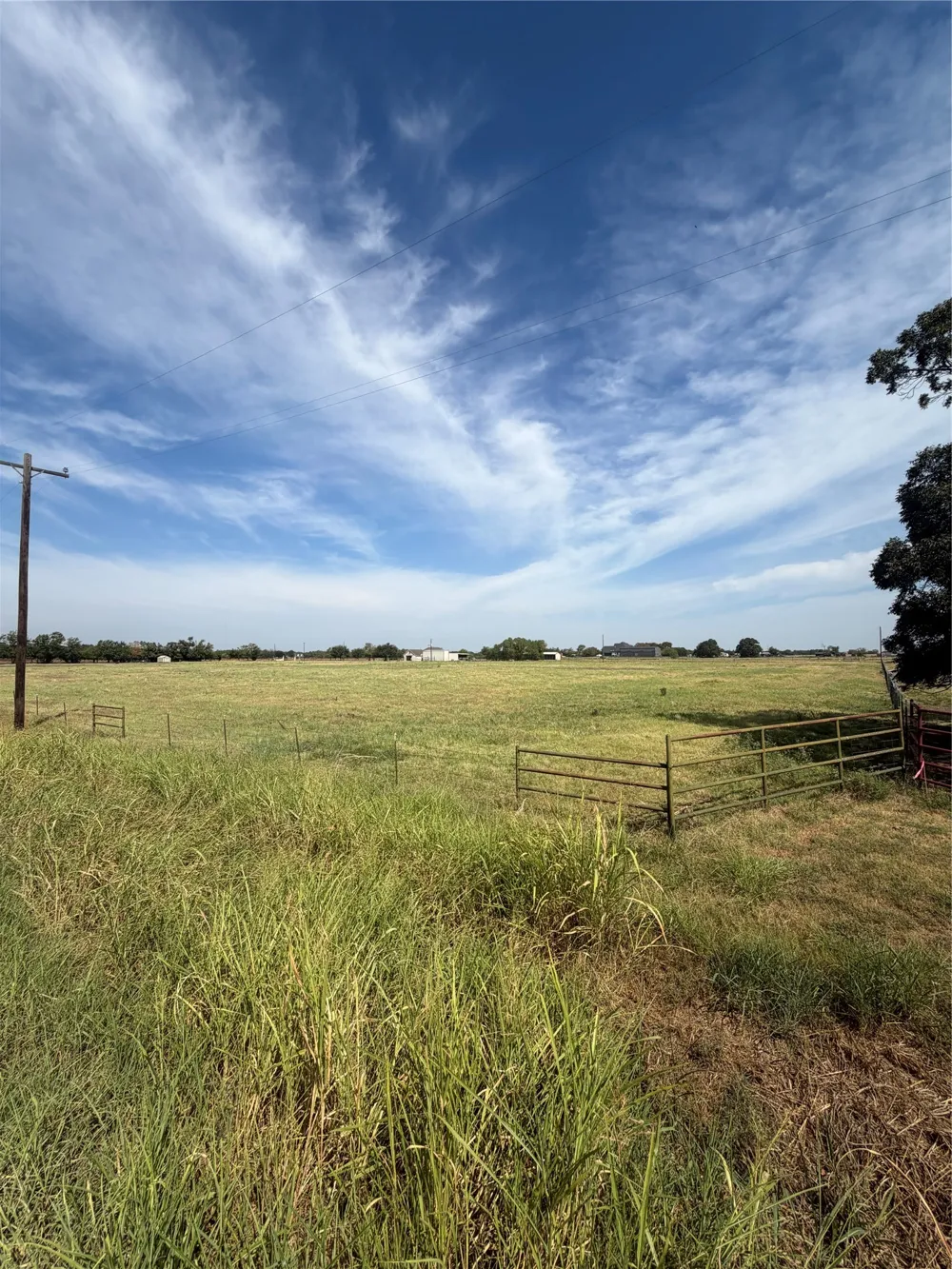 Hog Town Collinsville, TX 76233