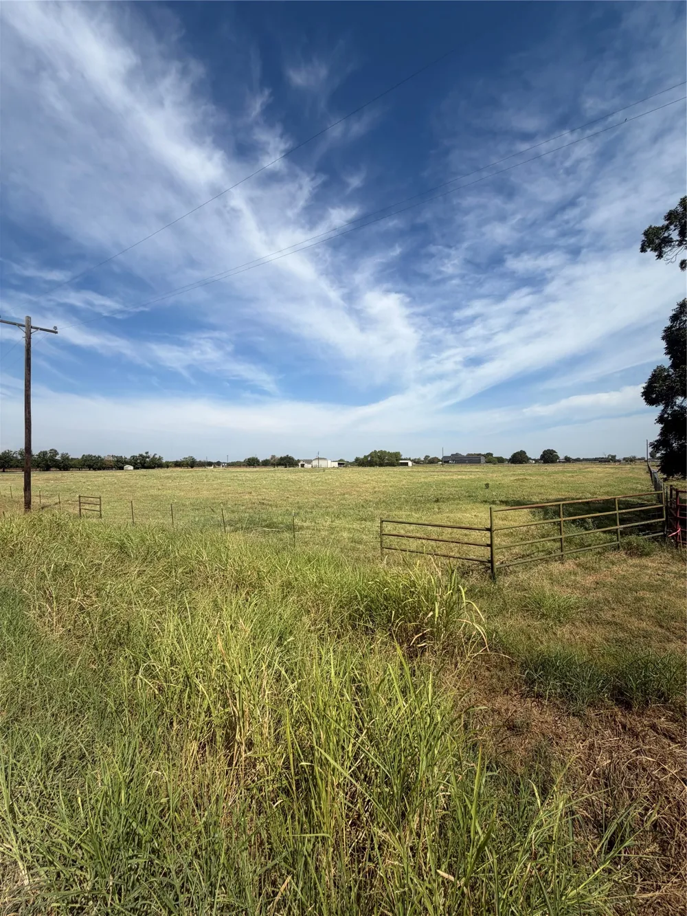 Hog Town Collinsville, TX 76233