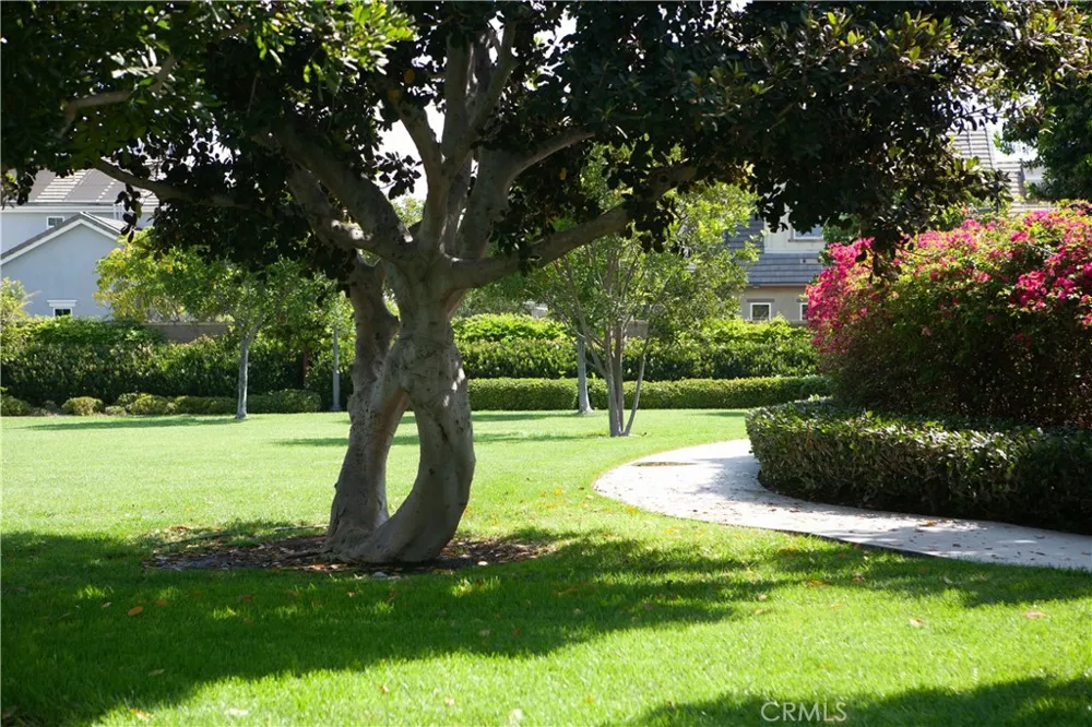 15563 Jasmine Place Tustin, CA 92782