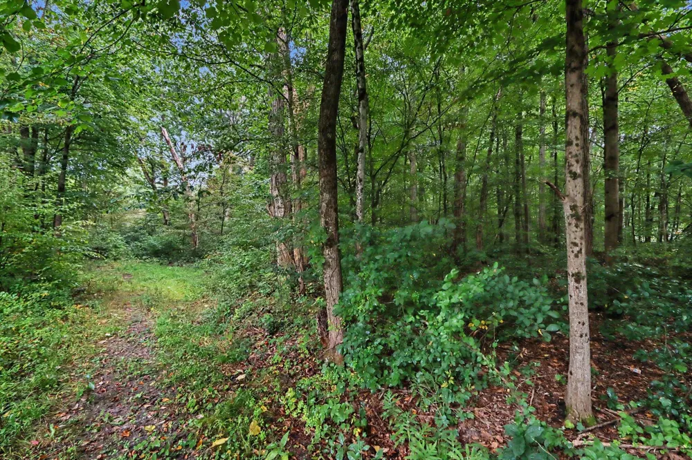 Whiskey Run Rd. Paw Paw, MI 49079