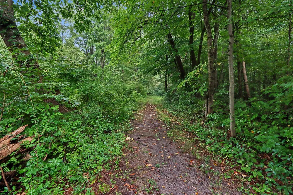 Whiskey Run Rd. Paw Paw, MI 49079