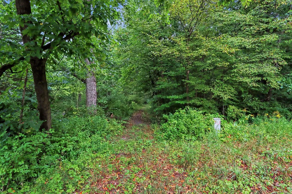 Whiskey Run Rd. Paw Paw, MI 49079