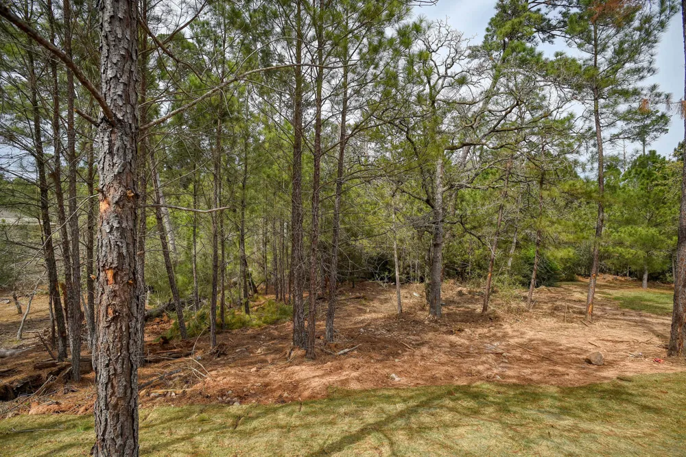 110 Mamalu Bastrop, TX 78602
