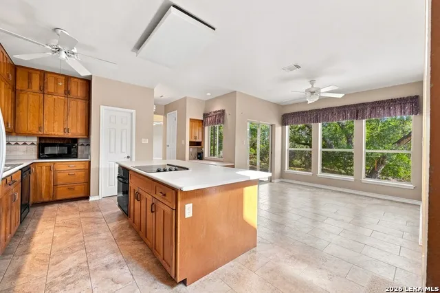 20623 HELOTES CREEK RD Helotes, TX 78023