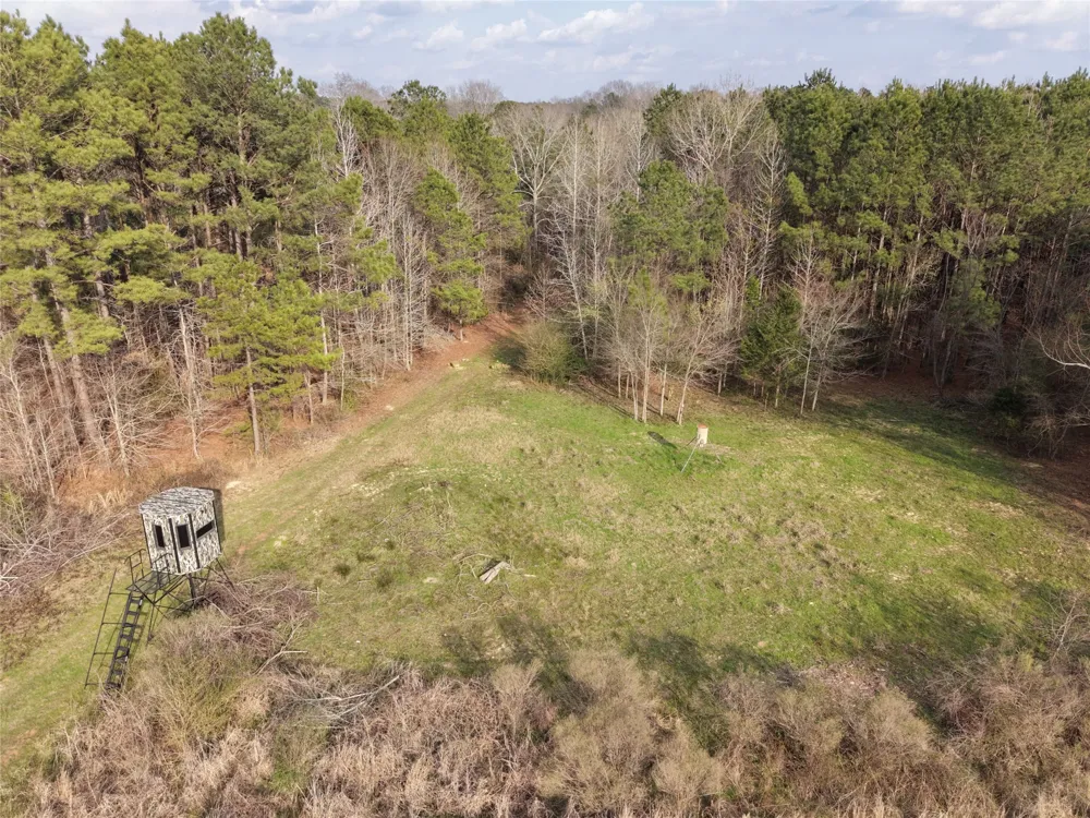 County Road 328 De Berry, TX 75639