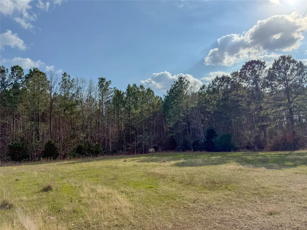 County Road 328 De Berry, TX 75639