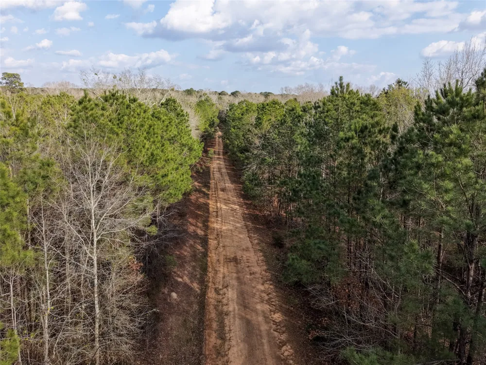 County Road 328 De Berry, TX 75639