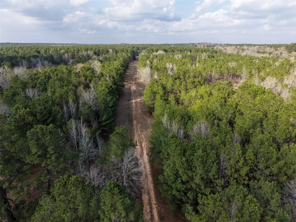 County Road 328 De Berry, TX 75639