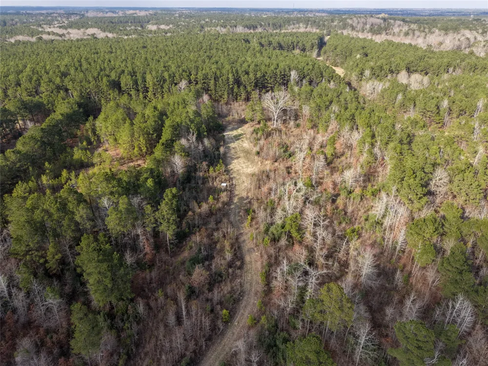 County Road 328 De Berry, TX 75639