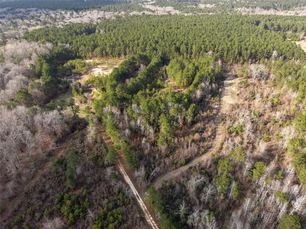 County Road 328 De Berry, TX 75639