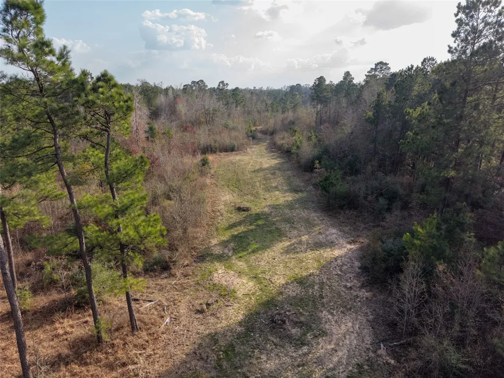 County Road 328 De Berry, TX 75639