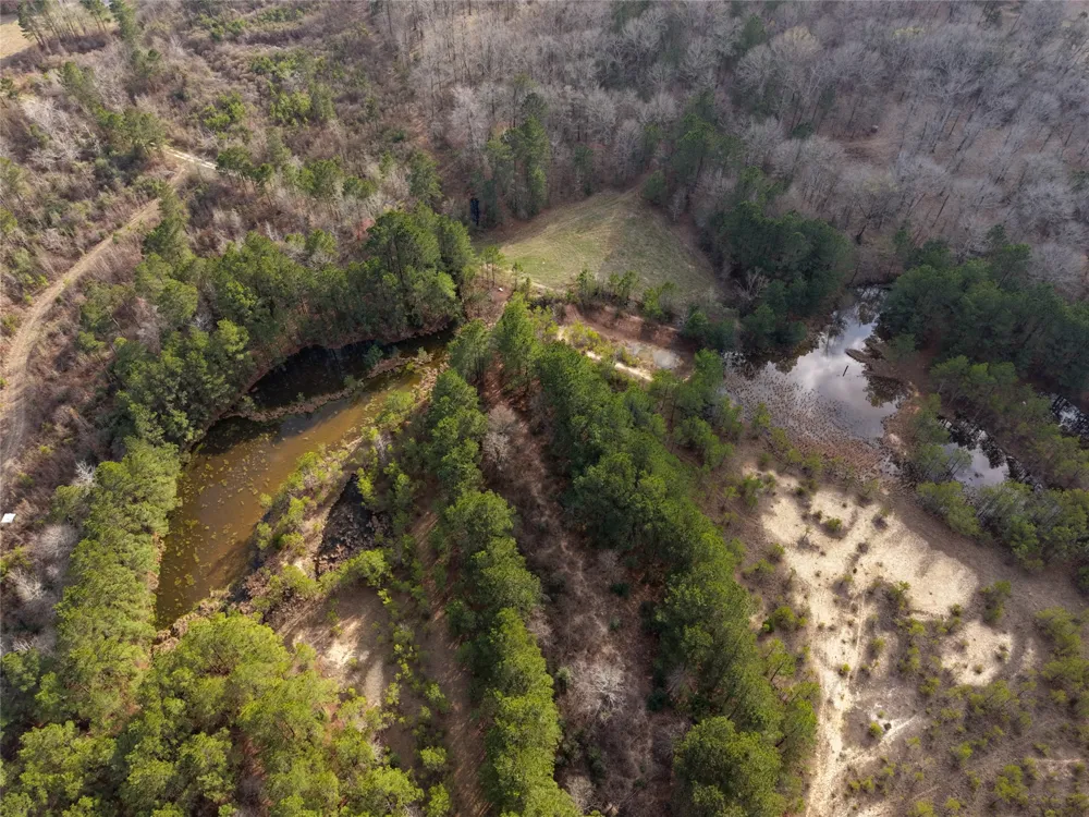 County Road 328 De Berry, TX 75639