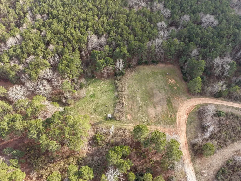 County Road 328 De Berry, TX 75639
