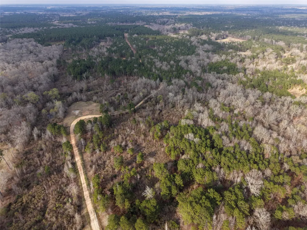 County Road 328 De Berry, TX 75639