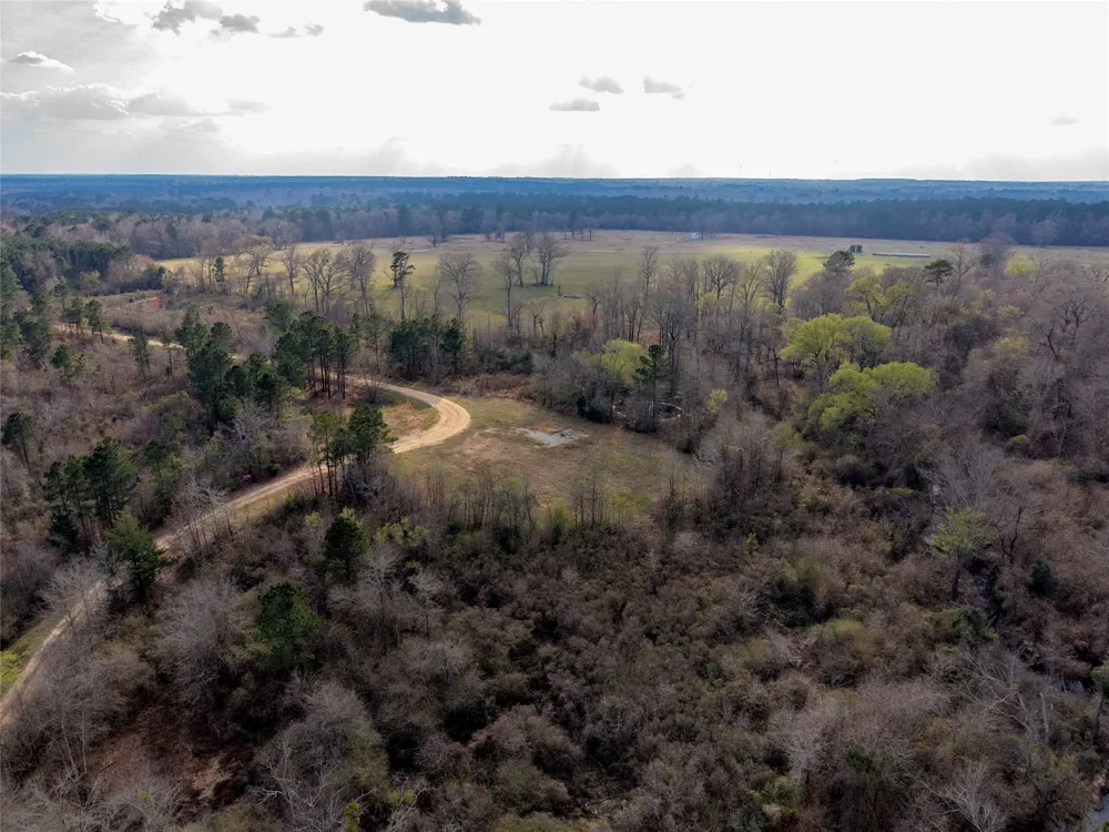 County Road 328 De Berry, TX 75639