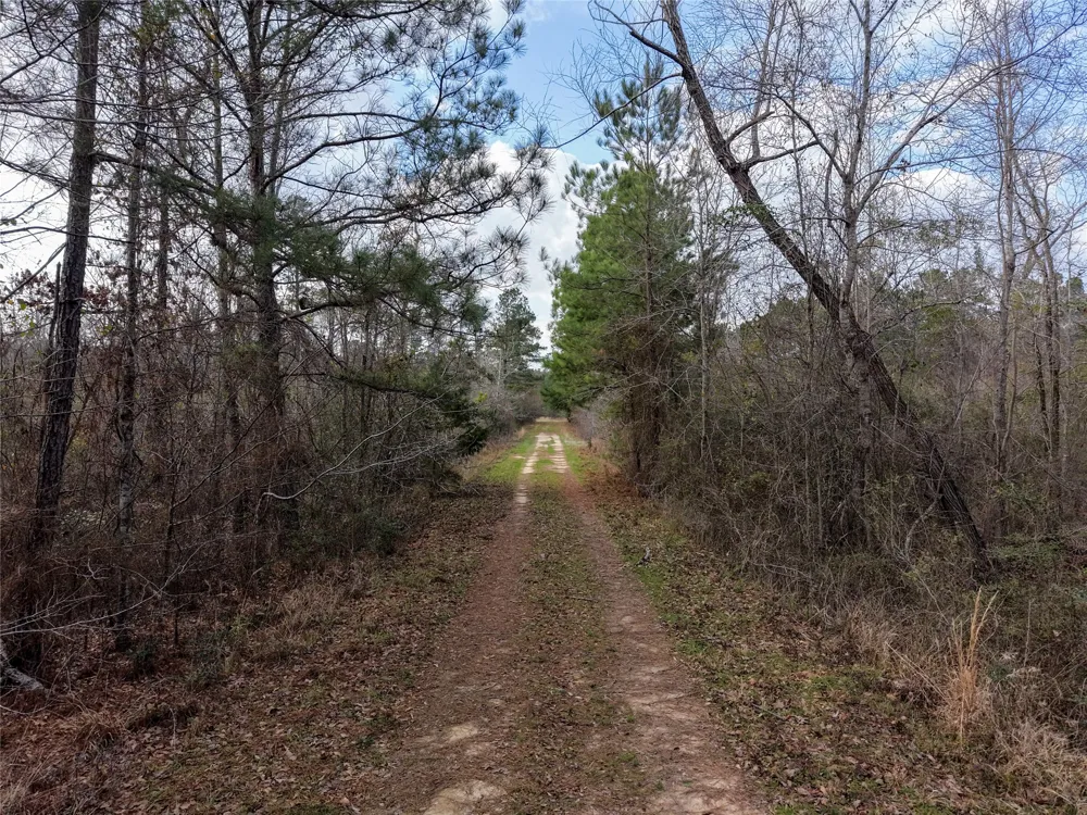 County Road 328 De Berry, TX 75639
