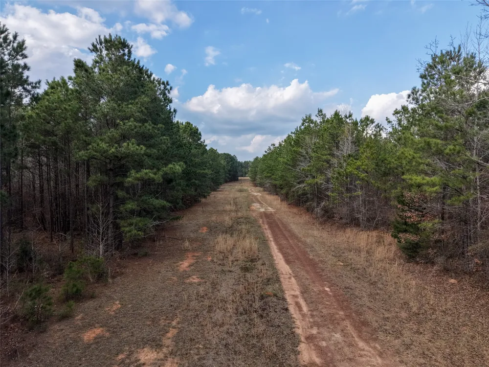 County Road 328 De Berry, TX 75639