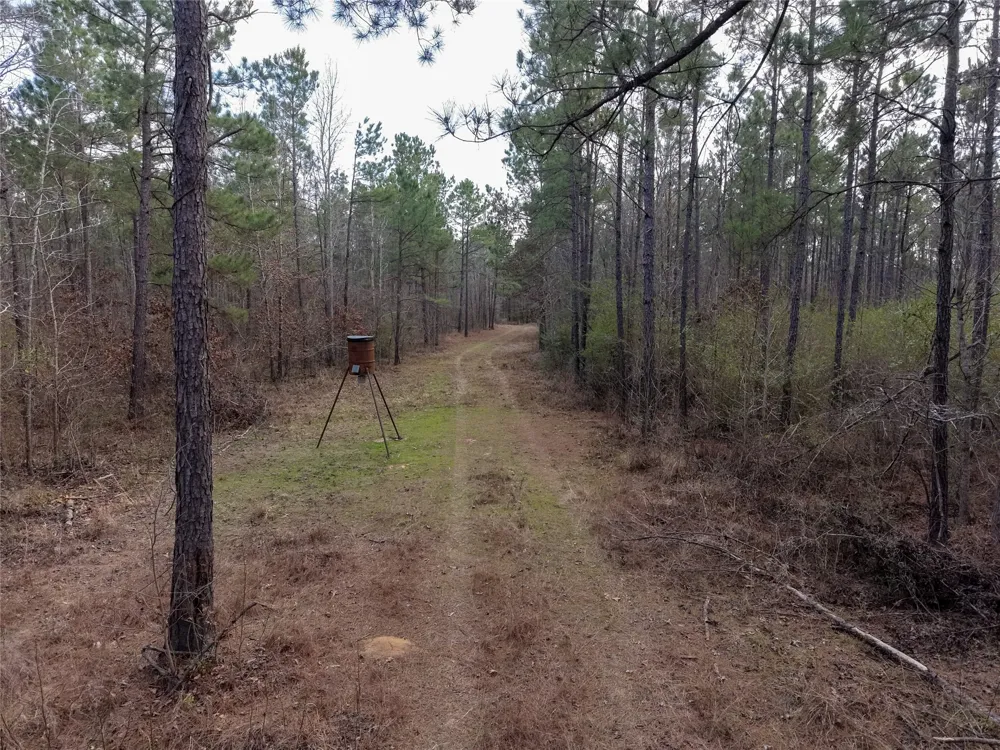 County Road 328 De Berry, TX 75639