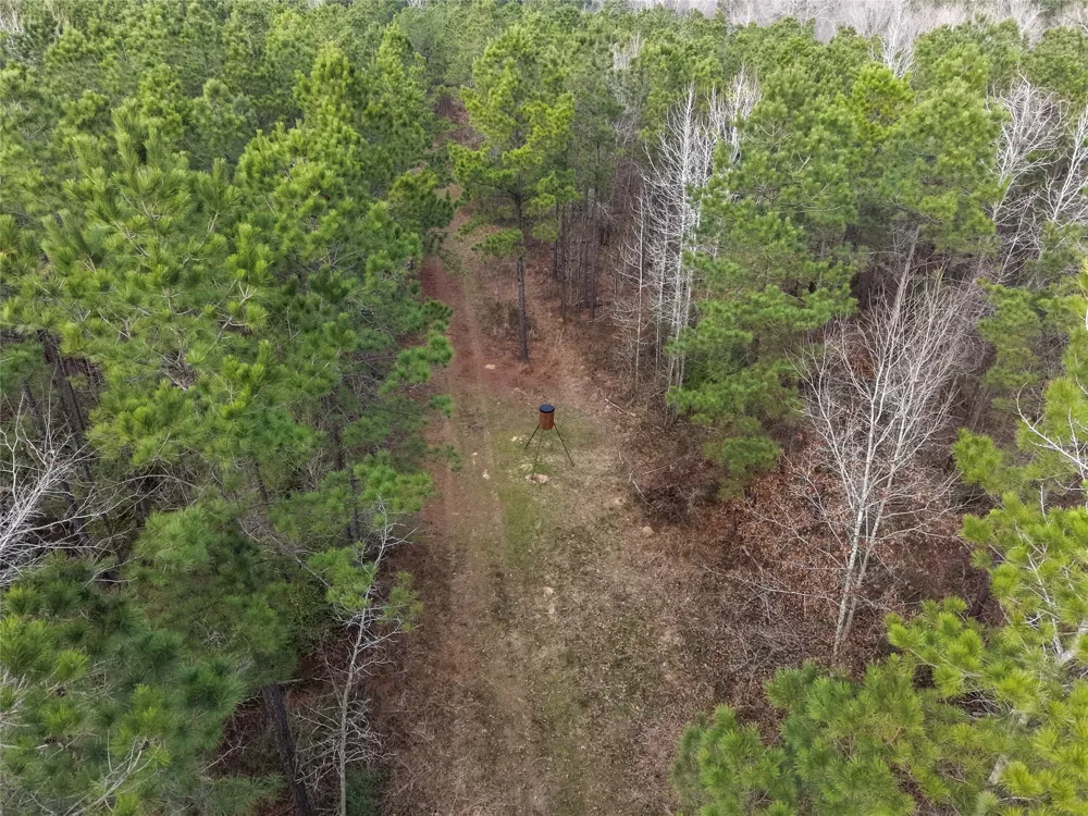 County Road 328 De Berry, TX 75639