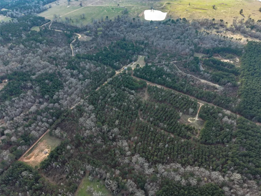County Road 328 De Berry, TX 75639