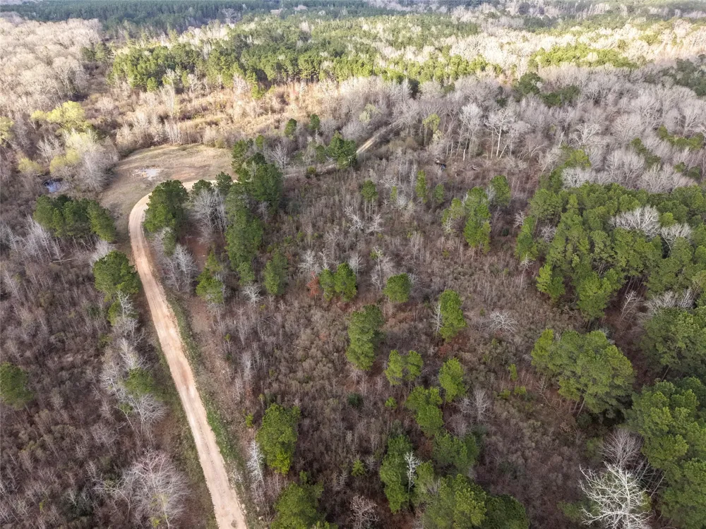 County Road 328 De Berry, TX 75639